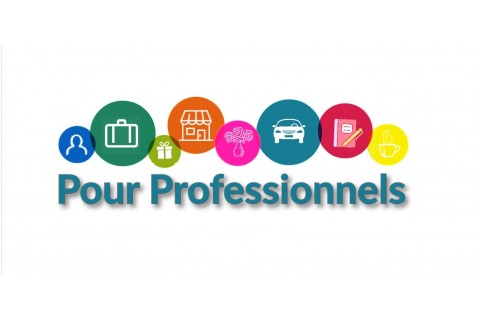 POUR LES PROFESSIONNELS